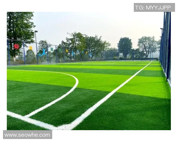 五人制足球球场标识设计与应用探讨提升场地使用效率与观赛体验