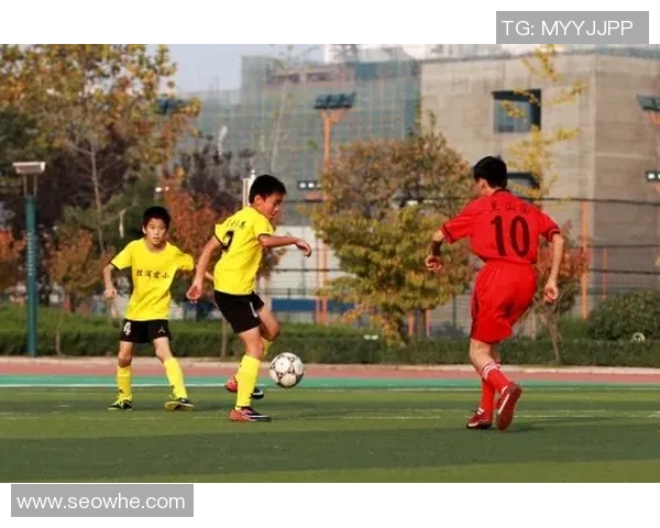 圣才足球引领青少年成长之路助力梦想成真与未来发展