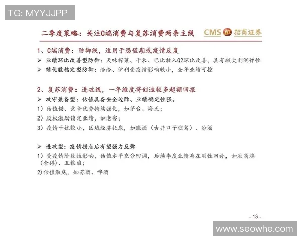 南京羽毛球队防守策略解析与战术创新探讨